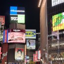 진짜쉬운일본어 | 한다일본어전화 가성비좋은 포도일본어 할인코드 한달 수업후기