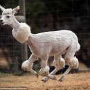 옹기종기 이미지