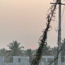 570002 | [여자혼자 인도두달살이]Mysore dasara/마이소르팰리스에서 야외수련/고쿨람 스타벅스