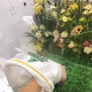 보람가축약품 | 친환경유기농 무역박람회 방문 후기