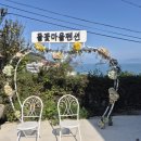 사랑초펜션 | 여수 들꽃마을펜션 여수펜션 사랑초 객실 숙박 후기 🌊💛