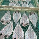 11월 28일(금) 목포는항구다 생선카페 판매생선 [ 건조생선(민어, 삼치) , 멸치젓, 황석어젓, 멸치액젓, 갈치액젓, 까나리액젓 ] 이미지