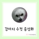 다정한 동물병원 이미지