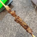 [대만] 타이중 여행 5편: 무지개 마을, 도교 사원 조원궁, 고메이 습지, 펑지아 야시장