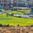 자락협재 이미지