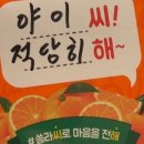 바디윌 이미지