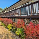 청산도 안단테 | 청산도안단테펜션에서 가을 만끽했던 후기!