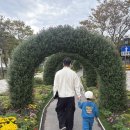 그림책 속 진로탐험 | 전남 영암 곤충 박물관 아이랑 갈만한 곳 체험 해설 놀이터 국화축제