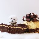 그루밍051 이미지