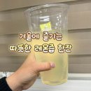 한사이언스 | 이탈리아산 레몬즙 원액 후기 ㅣ BD사이언스 공복 아침레몬수로 다이어트