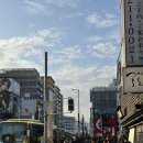 신사운전길 | 4일차] 교토 와쿠와쿠 버스투어 후기와 맛집들 - 후시미이나리 신사, 아라시야마, 금각사, 청수사, 우동...