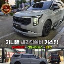 바디메뉴얼 | 카니발 AG 바디킷 + 전동사이드스텝 시공 후기 !세라믹실버가 이렇게 달라집니다!