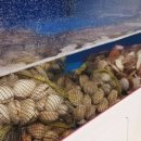 택이네 조개전골 앞 이미지