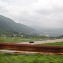 도천목장 티스토리