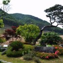 하늘물빛정원 이미지