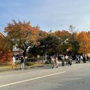 보니스피자용산 이미지