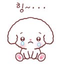 로이브로우아카데미