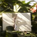 신화웨딩 - 남구 남중로 82 | 신화웨딩