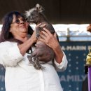 아름다운 개 이미지