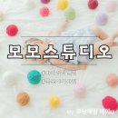 모모스튜디오 | 목포 아기성장앨범 둘째까지 모모스튜디오 선택한 이유