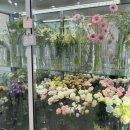 식물을담다 | [춘천] “꽃에담다” 다양한 꽃부터 예쁜 화분까지 가득한 곳 취향저격 꽃다발 후기