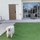 위클라드 자쿠지 펜션 이미지