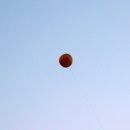 동해장식당 이미지