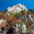 어느멋진날에 1 이미지