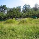 상주힐링별장 이미지