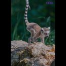 드렌도트 민박 이미지