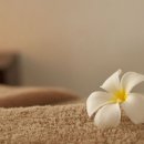 밀양식당 이미지