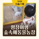 금산농장 2 | 강원도 평창 아기랑 갈만한 곳ㅣ대관령 숲속에 동물농장, 카페6.55, 세븐헌드레드
