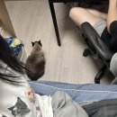 충무 합기도 | 13. 향기로운 칵테일에 취해도 보고