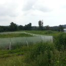 도순동-2 이미지