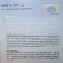 협자연대 이미지