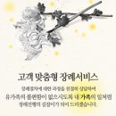 진성의전