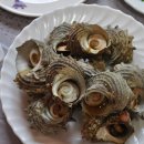 해녀민텔 Daum카페