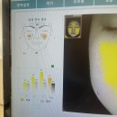 마벨 스킨케어