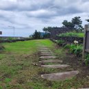 오소포연대 이미지