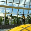 모실 수영장 | [제주] 신화월드 워터파크 모실수영장 부대시설 후기