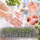10월16일 🍎뉴스브리핑🍎담낭리섬 꽃밭 전경 이미지