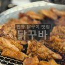 닭꾸바 이미지