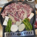 닭오리의 꿈 이미지