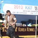 풍산개마을 이미지