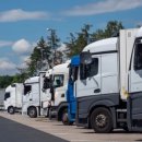 수정화물 이미지