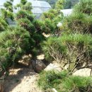 여주-0741 이미지