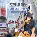 연일골목시장상점가 | 도쿄여행 중 가볼만한 곳, 우에노 아메요코 상점가 방문후기