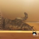 호텔구구 이미지