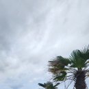 제주파크장 이미지