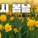 다시봄날 Daum카페